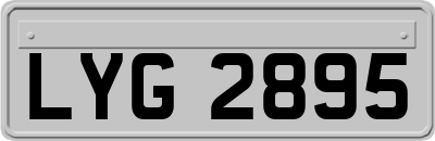 LYG2895