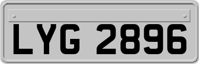 LYG2896