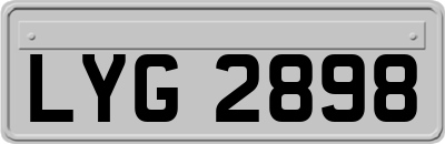 LYG2898