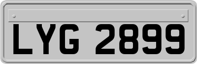 LYG2899