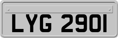 LYG2901