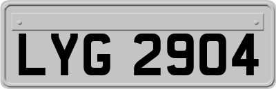 LYG2904