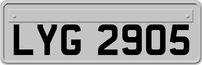 LYG2905
