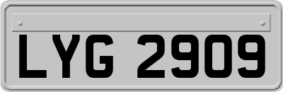 LYG2909
