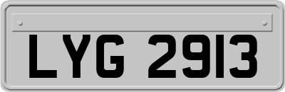 LYG2913