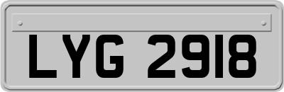 LYG2918
