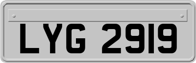 LYG2919