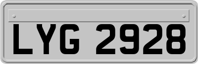 LYG2928