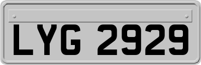 LYG2929