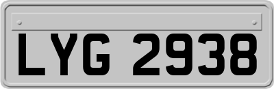 LYG2938