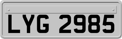 LYG2985
