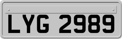 LYG2989