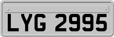 LYG2995