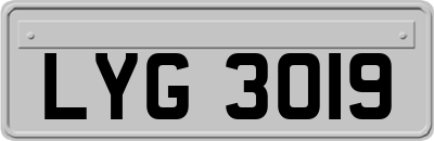 LYG3019