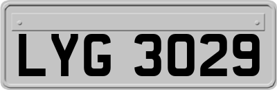 LYG3029