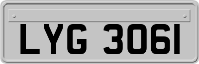 LYG3061