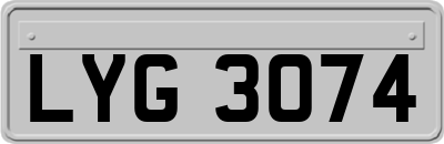 LYG3074