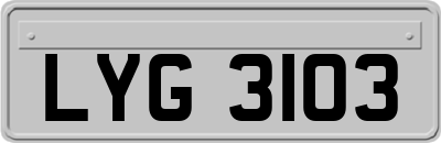 LYG3103