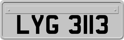 LYG3113