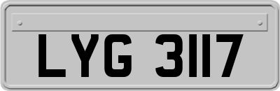 LYG3117