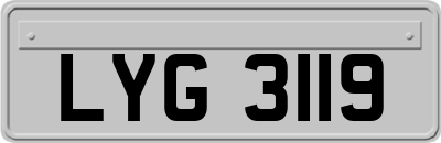 LYG3119