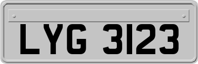 LYG3123