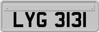 LYG3131
