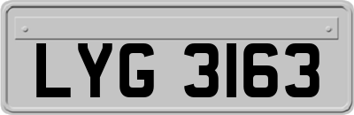 LYG3163