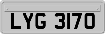 LYG3170