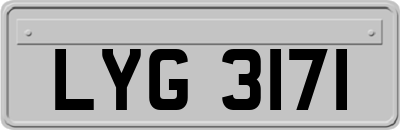 LYG3171