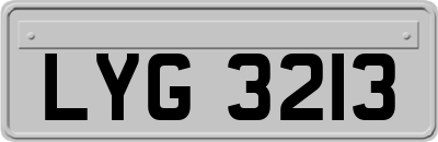 LYG3213