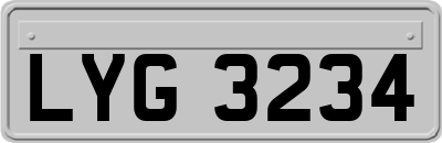 LYG3234