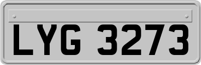 LYG3273