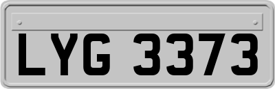 LYG3373