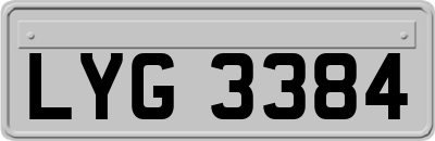LYG3384