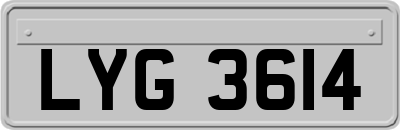 LYG3614