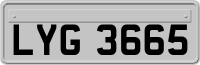 LYG3665