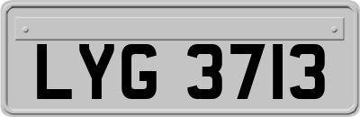 LYG3713