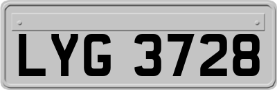 LYG3728