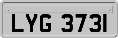 LYG3731