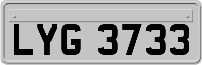 LYG3733