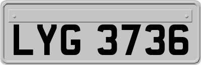 LYG3736