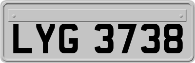 LYG3738