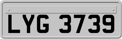 LYG3739