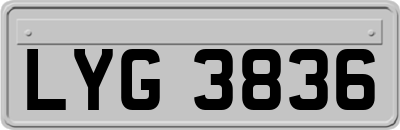 LYG3836