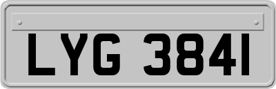 LYG3841
