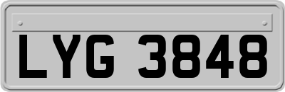 LYG3848