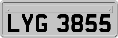 LYG3855