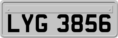 LYG3856