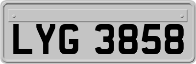 LYG3858